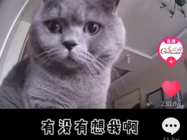 陜西鑫安安防監(jiān)控攝像頭