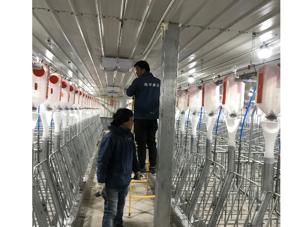 養豬場視頻監控系統安裝，從布線到安裝需要的就是嚴謹